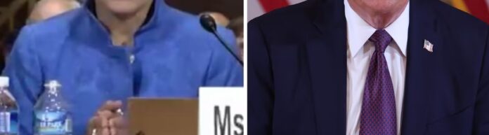 District Judge Paula Xinis vs trump