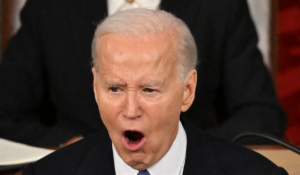 Book Details Incident When Reporter Contact Biden Directly