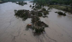Organization Issues Another Statement On Texas