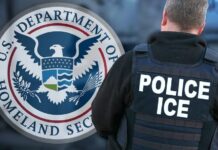 Immigration Sweep in Chicago Prompts Move to Charlotte