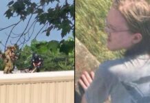 Report Raises Eyebrows About Probe Regarding 2024 Incident