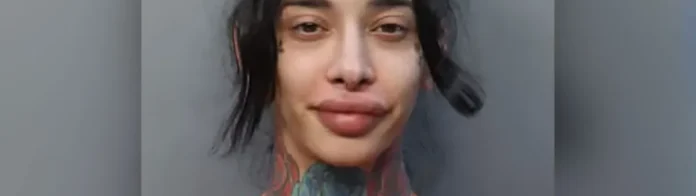 La’Rose Sainte stabbing