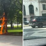 Here’s the Whole Story Behind Chicago Cross-Burning