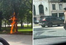 Here’s the Whole Story Behind Chicago Cross-Burning