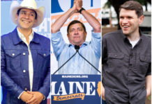 Get To Know The Democratic Party’s Midterm Ticket
