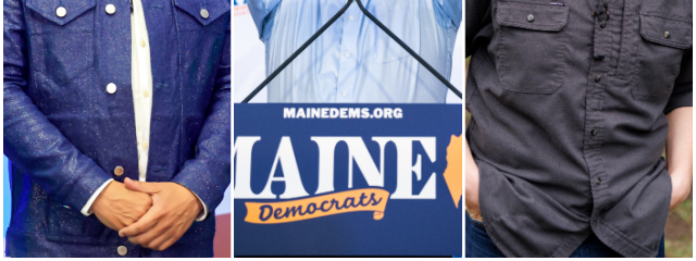 Democratic Party's Midterm Ticket